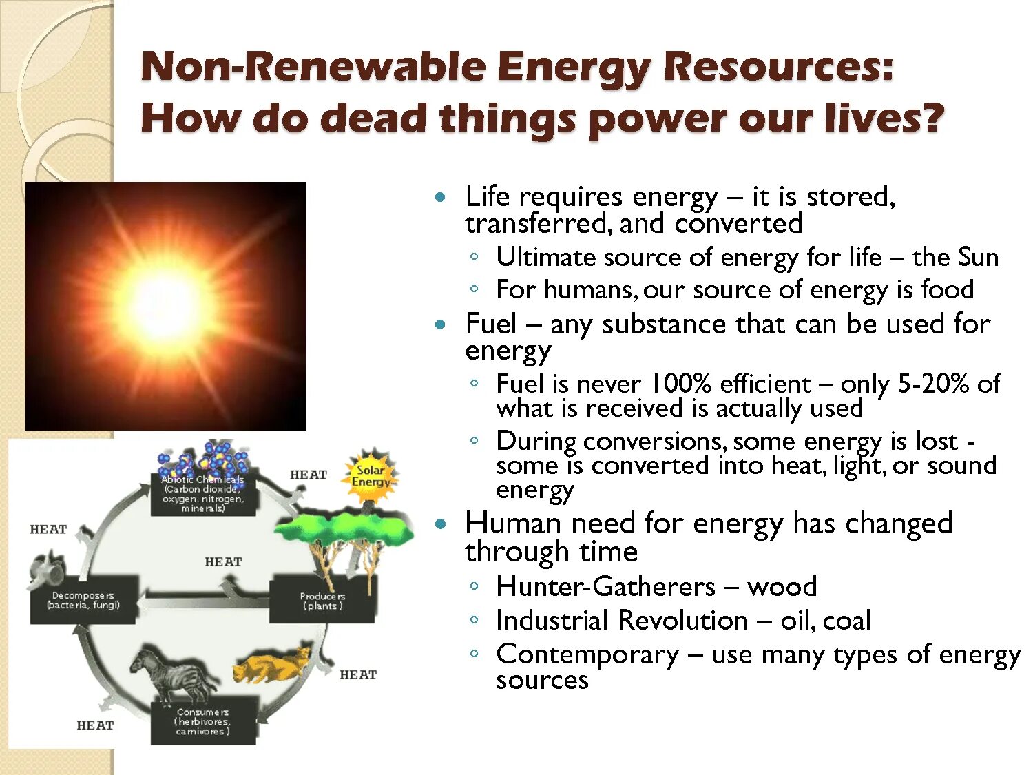 Renewable перевод