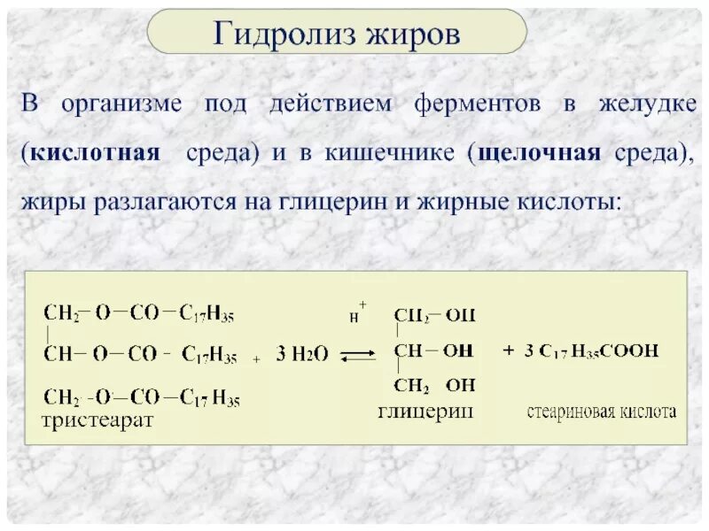 Полный гидролиз жиров. Гидролиз жира в организме. Гидролиз трипальмитата глицерина. Кислотный гидролиз жирных кислот. На что разлагаются жиры.