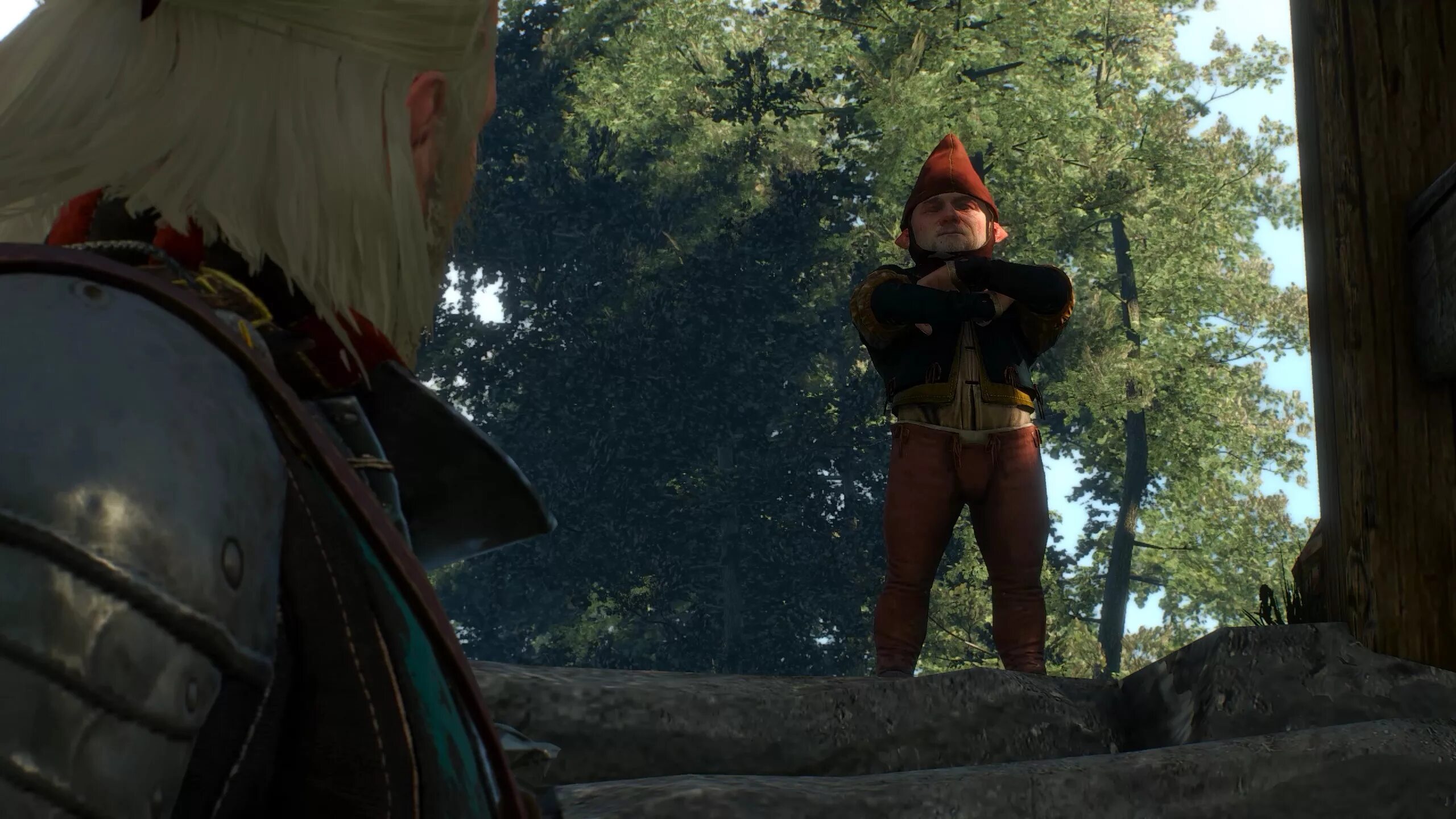 медоносный призрак ведьмак 3