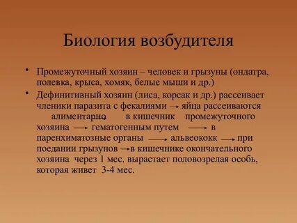 Дефинитивный это
