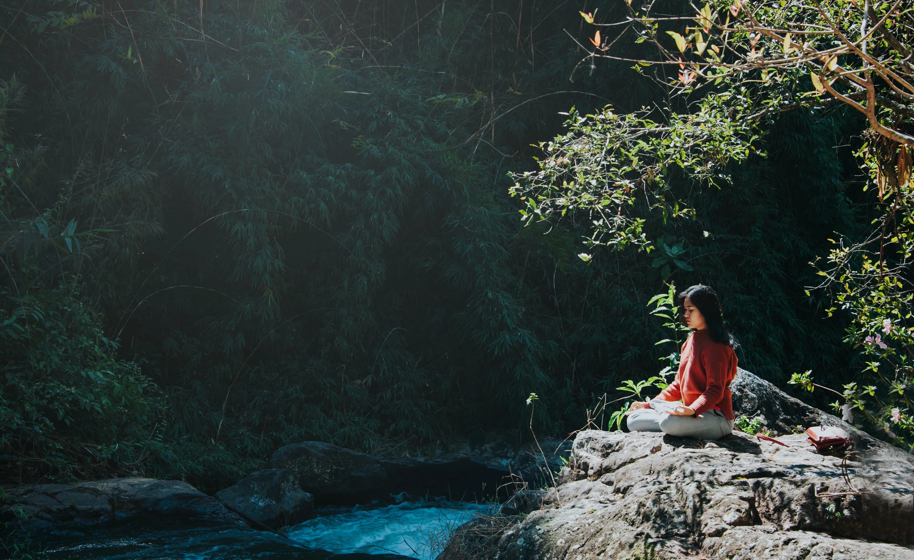 Девушка на Камне в лесу. Девушка у реки. Медитация в лесу. Девушка в горной реке.