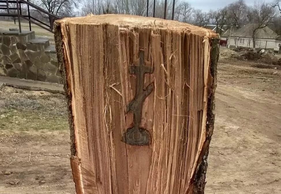 Отжарил дерево но оно оказалось святым. Крест с деревом внутри. Вырезать внутри дерева. Крест в коре дерева. Внутри ствола дерева.