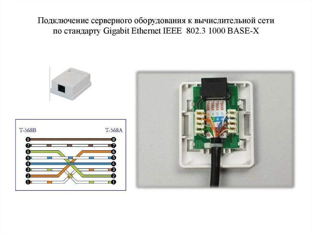 Интернет розетка 8 жил. Схема обжима витой пары RJ-45 В розетке. Схема обжимки проводов RJ-45. Схема подключения Ethernet кабеля rj45. Распиновка сетевой розетки RJ 45.