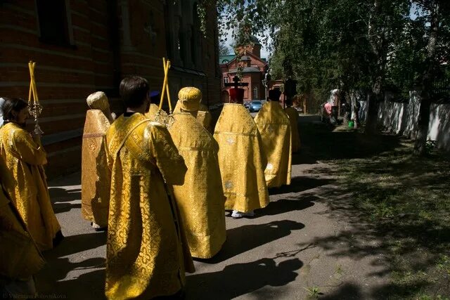 во всю землю изыде