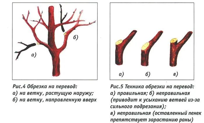 Как удалить ветку