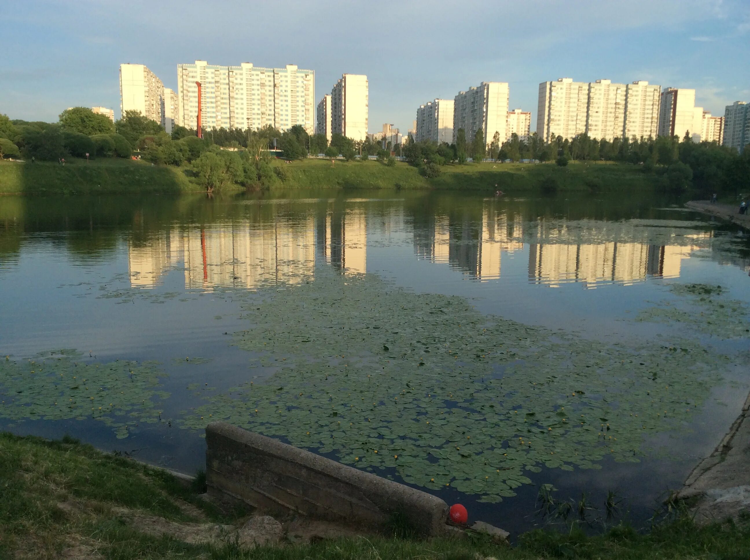 Базовский пруд долгопрудный рыбалка. Большой очаковский пруд москва. Базовский пруд очаково. Базовский пруд очаково. Большой очаковский пруд.