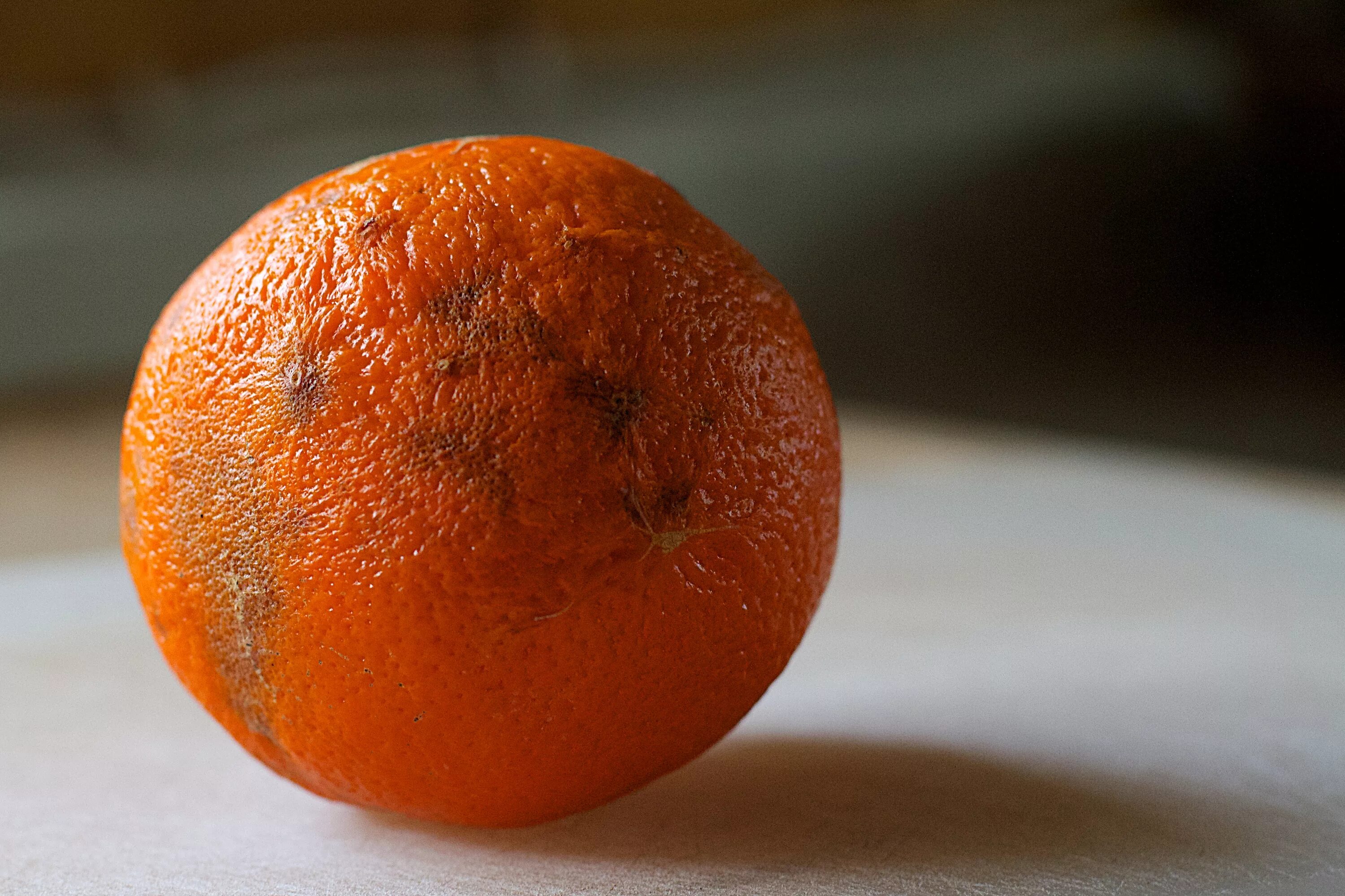 They like oranges. Коричневый мандарин померанец. Мандарины Минеола. Горький Танжерин. Испорченный апельсин.