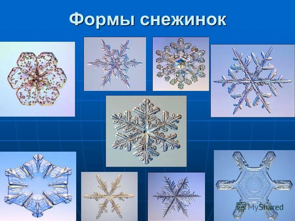 Новогодние снежинки из бумаги своими руками. Какую форму имеют снежинки. Синие снежинки. Сочинение первый снег. Снежинки учеников.