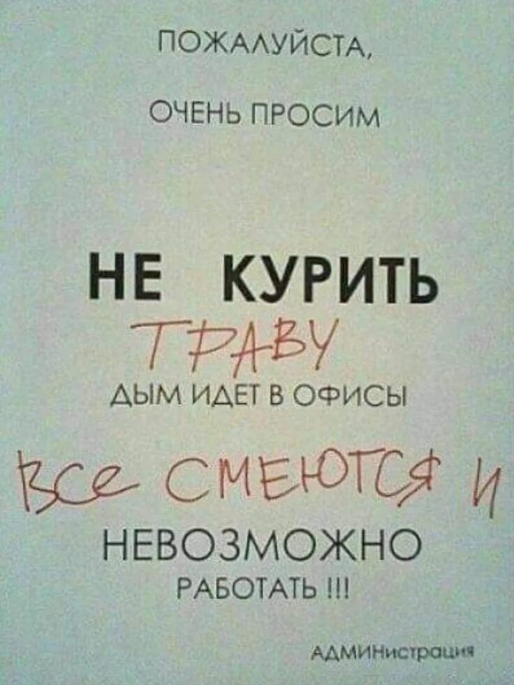 Kurili группа. Дым. Дым не курили текст. Дым не виноват sanji, джиос. Девушка из дыма.