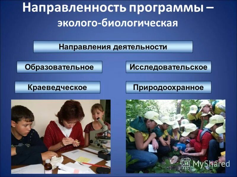 Направления экологического образования. Экологическое направление внеурочной деятельности. Формы эколого биологической деятельности. Эколого биологическое направление. Эколого биологическая направленность.