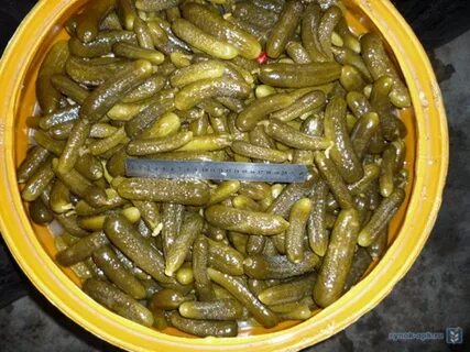 Продать соленых огурцов