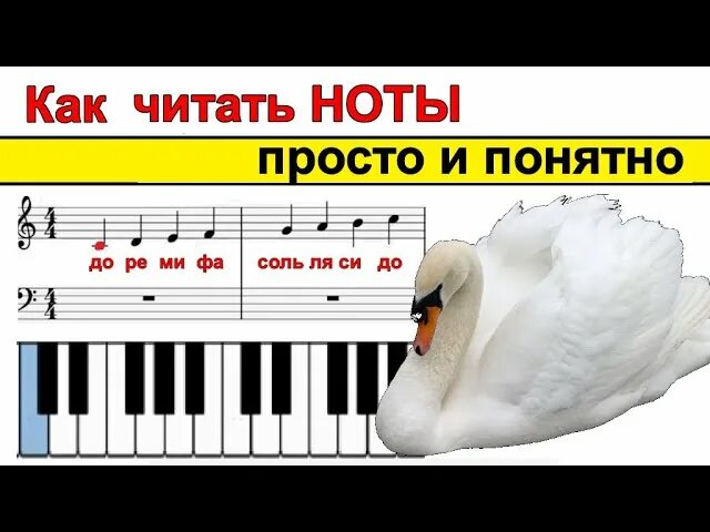 Как читать Ноты. Чтение нот. Как читаются Ноты. Читать Ноты.