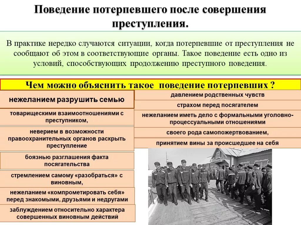 Поведение жертвы. Поведение человека совершившего преступление. Потерпевший от преступления.