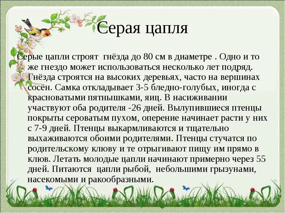 Птицы весной сочинение. Рассказ про аиста. Рассказ о скворце весной. Коротко о скворце для детей.