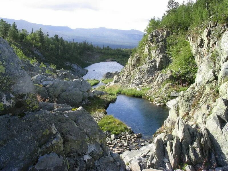 Заповедник Вишерский Пермский край реки. Заповедники Урала Вишерский. Красновишерск заповедник Вишерский. Заповедник Вишерский Пермский край Уральские горы. Крупные национальные парки урала