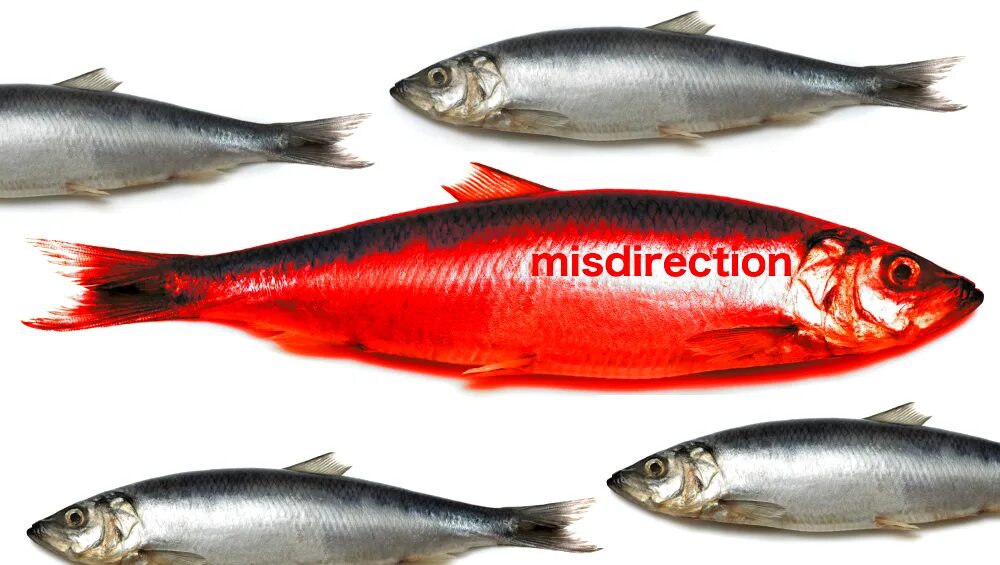 Covid - Red Herring. Red Herring idiom. 2. A Red Herring.