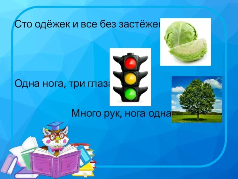 Загадку 100 одежек. Сто одежек, и все без застежек. 100 одежек и все без застежек. загадка 100 одежек и все без застежек. сто одёжек и все без застёжек загадка.