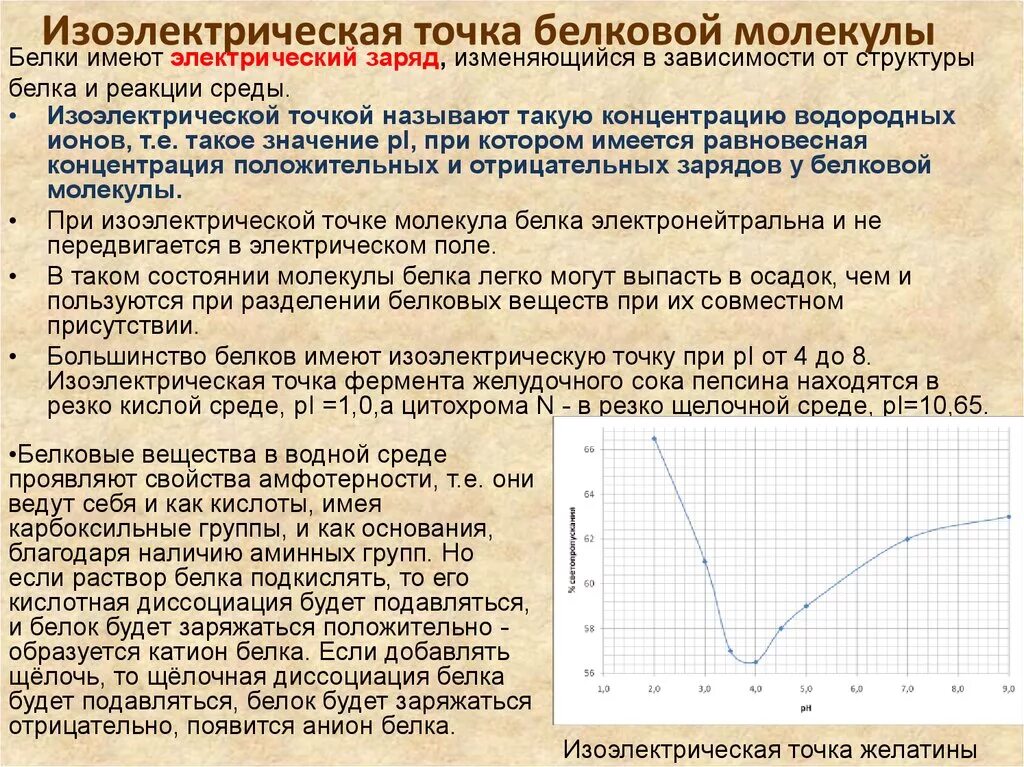 Белковая точка. Изоэлектрическое точко. Изоэлектрическая точка белков. В изоэлектрической точке белок. Изоэлектрическая точка и РН.