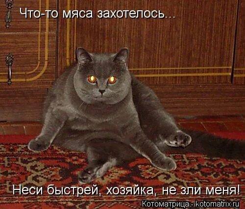 Веганы вейперы. Бокал за пиздеж. У нас такое не принято. Не надо со мной так разговаривать. Отвечай быстро.