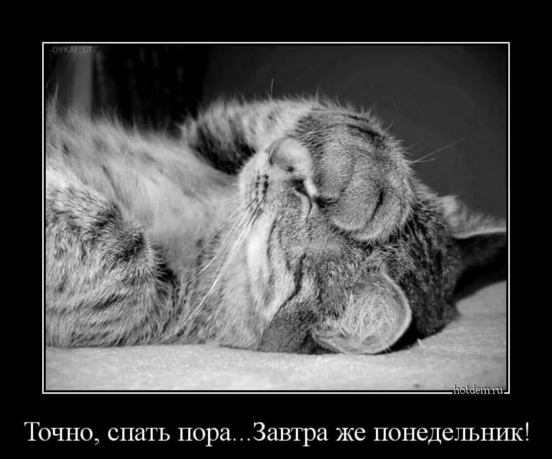 Пора уснуть последним сном. Завтра понедельник пора спать. пора спать!. спокойной ночи завтра понедельник. спать демотиватор.