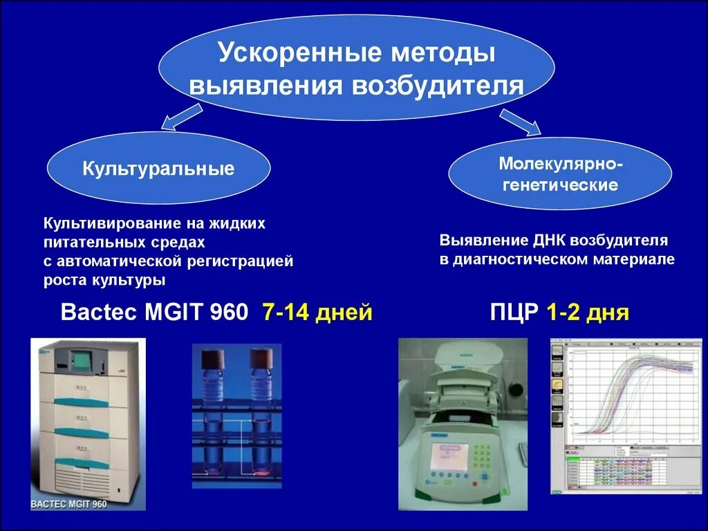 Метод днк идентификации. Методы определения микобактерий туберкулеза. Ускоренные методы выявления возбудителя туберкулеза. Методы исследования туберкулеза микробиология. ПЦР диагностика туберкулеза.