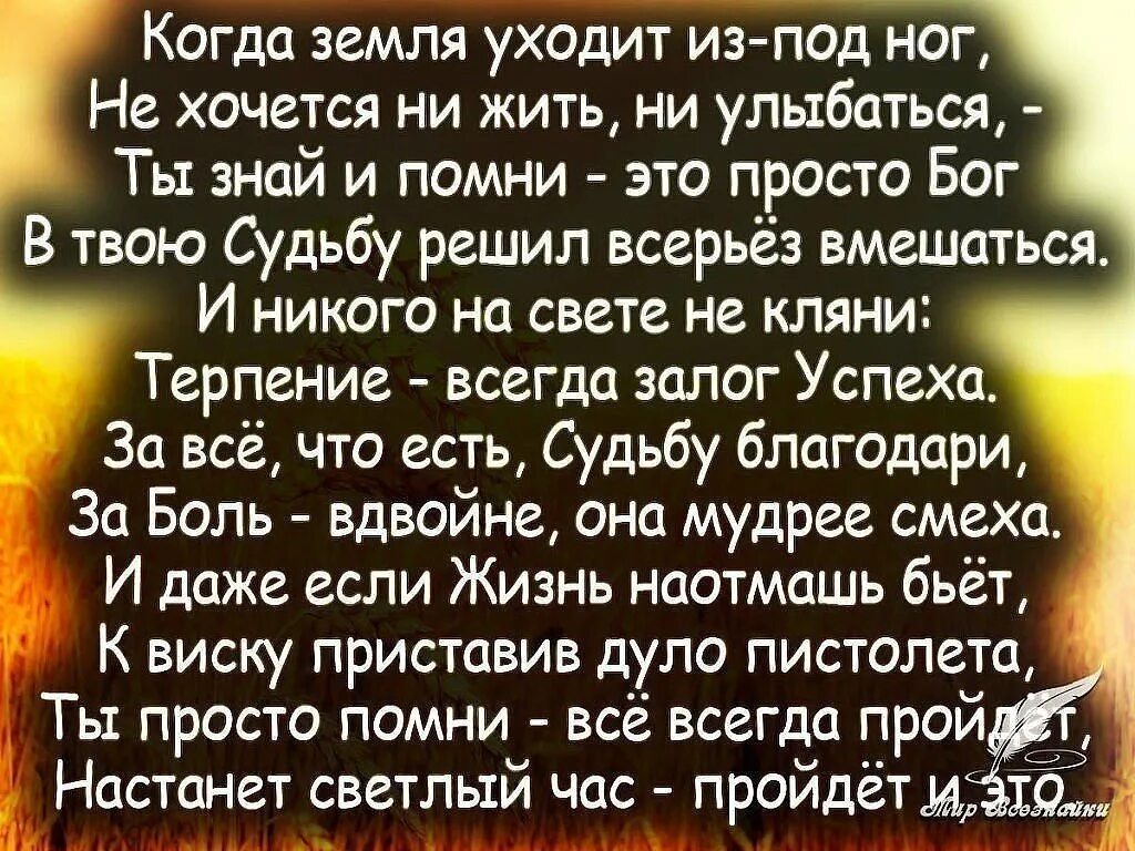 Бог ушел слова. Стихи чтобы жить дальше. ты знаешь бог я сказочно богата стих. стихи как жить дальше. стихи о жизни и судьбе.
