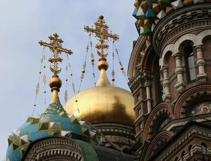 Купол осу
