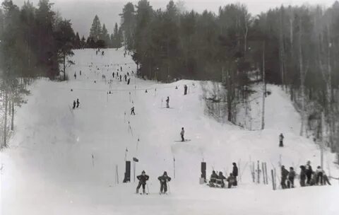 Золдол веб камера