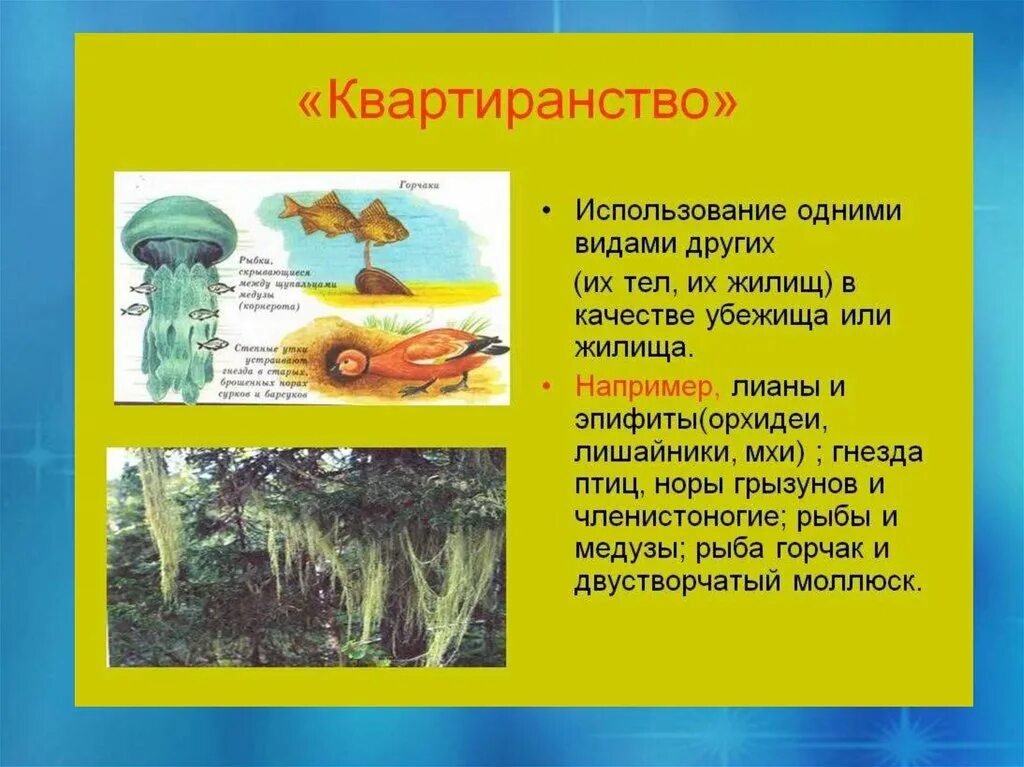 Взаимодействия организмов в экосистемах - презентация онлайн