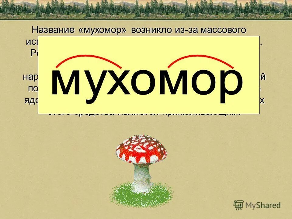 имя мухомору. мухомор описание. виды мухоморов с названиями. имя мухомору. мухомор с подписью.