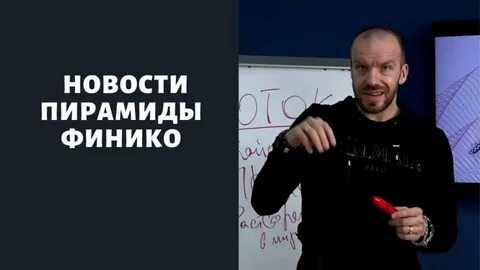Финико пирамида финансовая последние новости