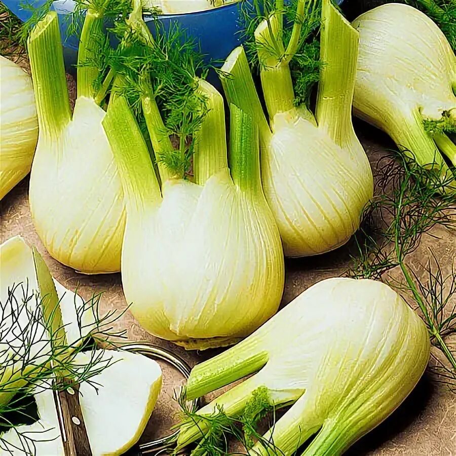 Pickled Fennel with Orange Zest Recipe on Food52 Recipe Zest recipes, Fennel rec
