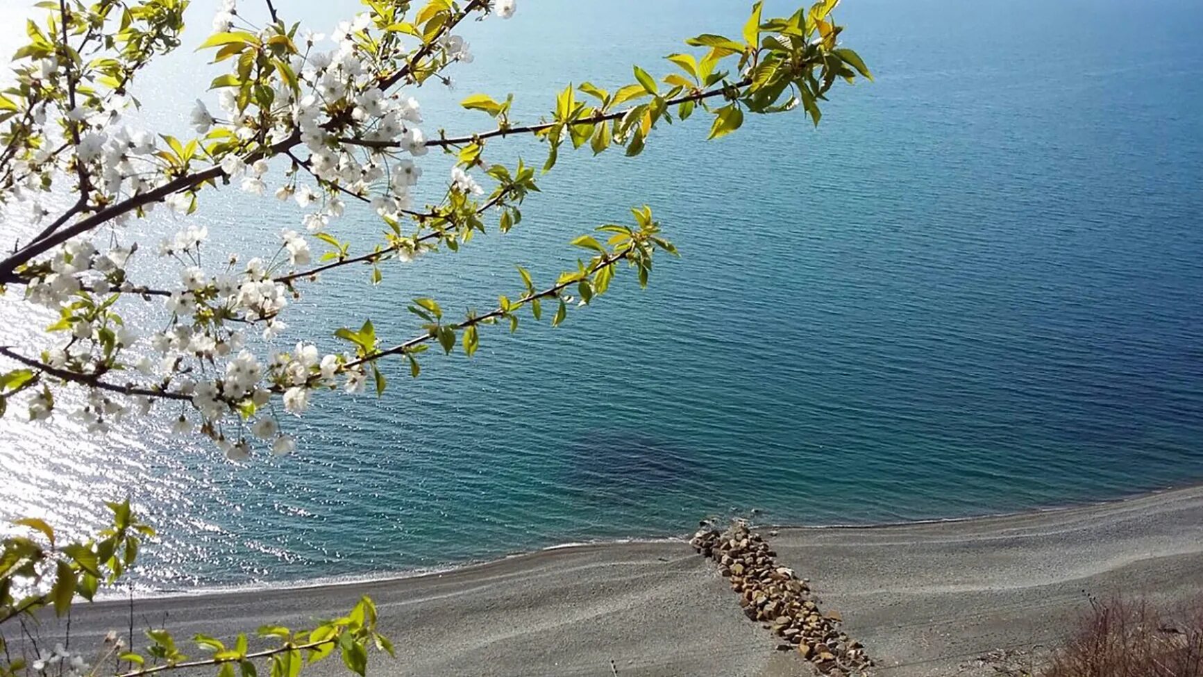 Отзыв море в мае. Море весной. Весенний Сочи. Весеннее море. Сочи весной.