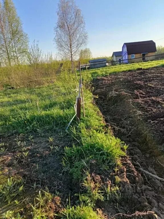 Деревня Бурцево Вологодский район. Бурцево Вологодский район деревня зоопарк. Бурцево Псковская область. Бурцево Московская область Дмитровский район. Участки череповецкий район