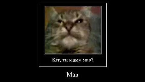 Ты маму мав