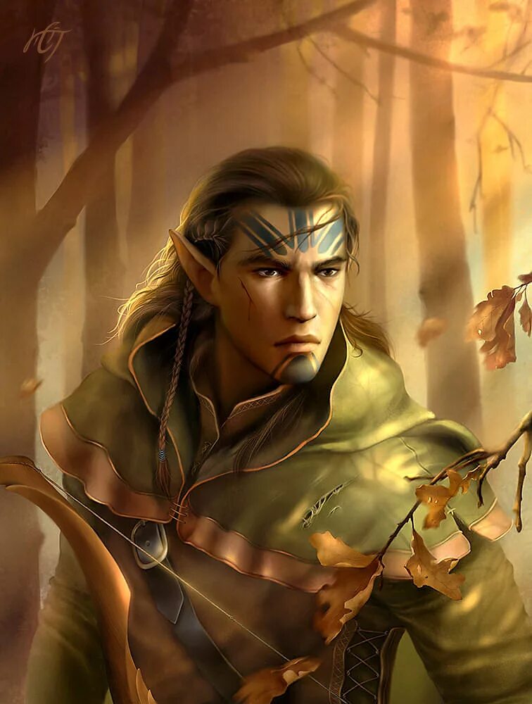 Нандор лесные эльфы. Полуэльф арт фэнтези. Арвиэль дакрэа. Морнэмир эльф. Полуэльф днд.