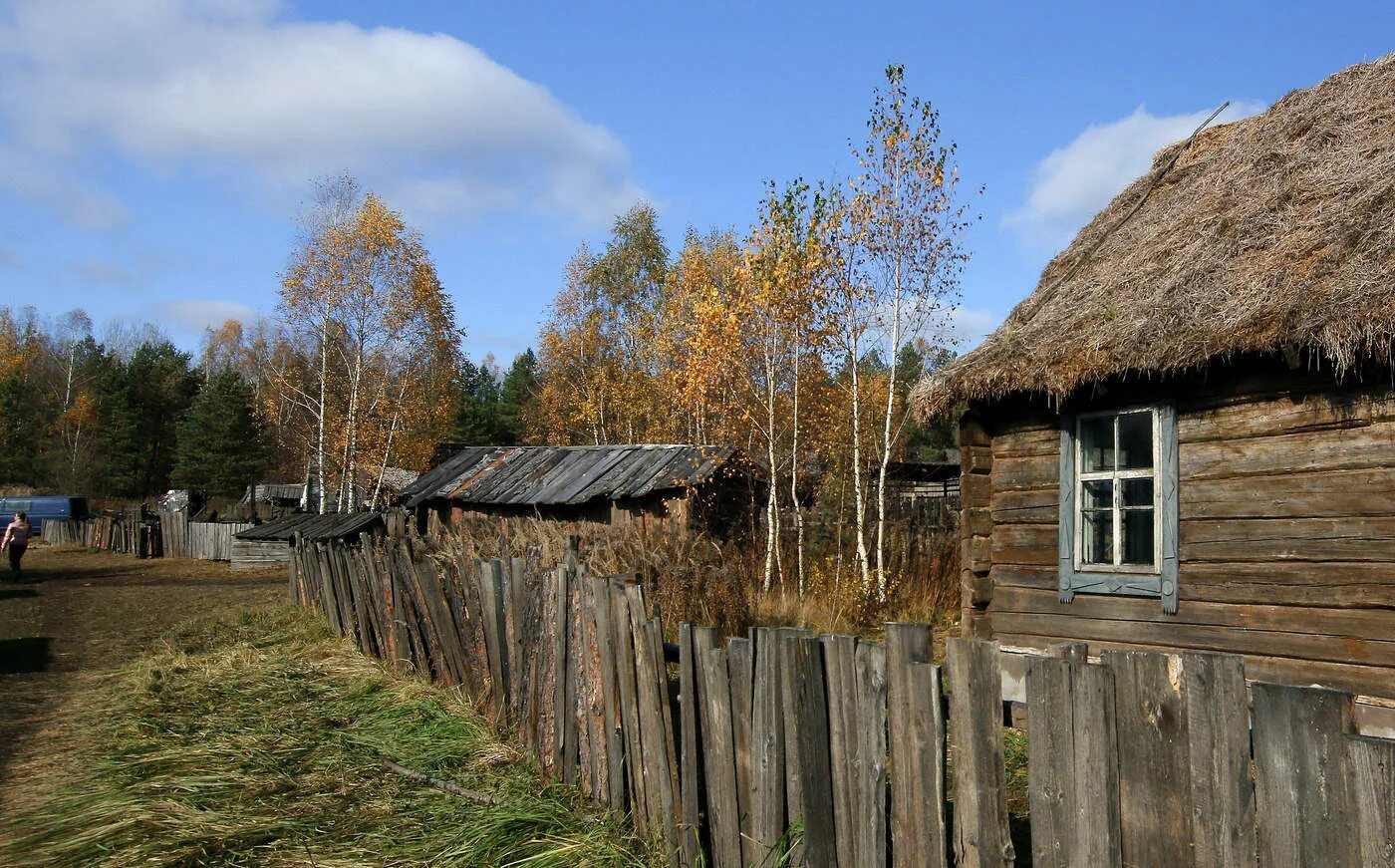 Купила деревню в белоруссии. Деревня Каменка Беларусь. Деревни Белоруссии. Беларусь деревня Кожановичи. Каменка, деревня Каменка.