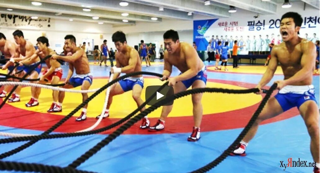 тренировка борцов. греко римская борьба офп. офп силовые упражнения. подготовка дзюдоистов. тренировка борцов.