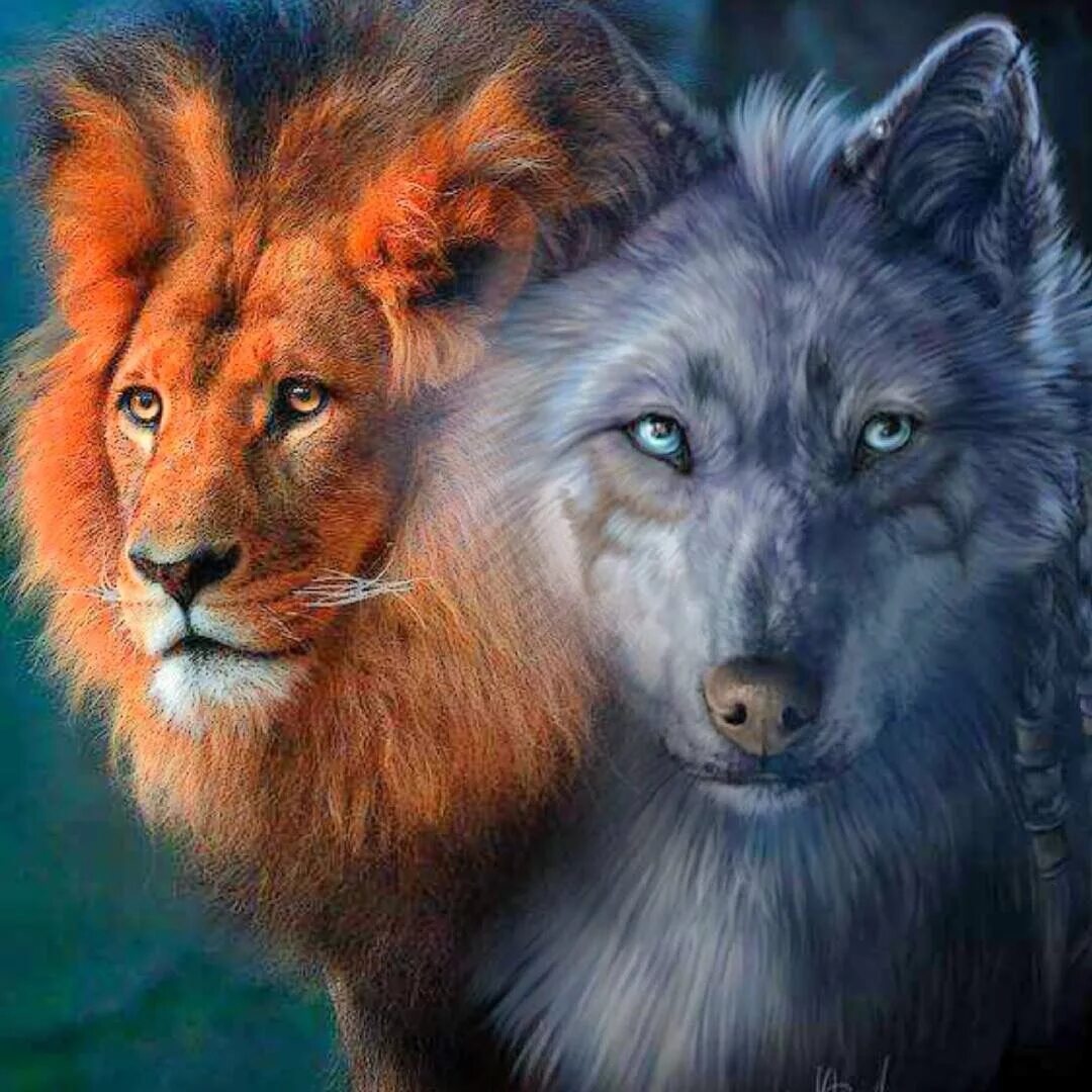 Волк и лев (2021) - Wolf and the Lion, The - Le loup et le lion - постеры фильма