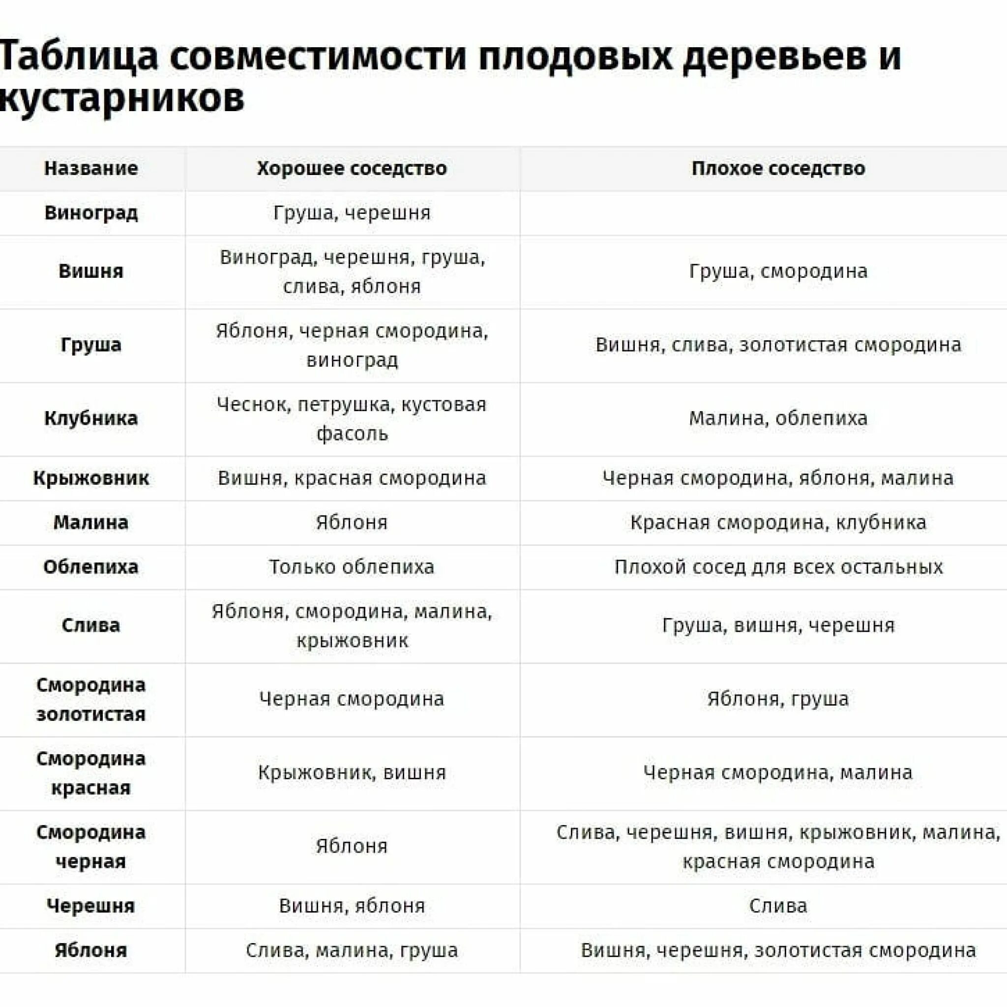 Крыжовник и смородина рядом можно сажать. Таблица совместимости плодово-ягодных деревьев и кустарников. Совместимость посадки плодовых деревьев и кустарников в саду. Совместимость плодовых деревьев и кустарников в саду таблица. Совместимость ягодных кустарников таблица.