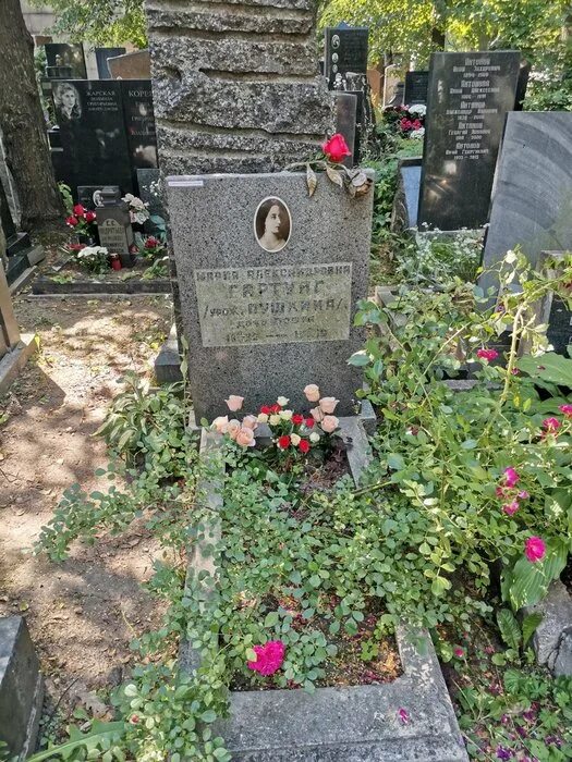 Похороненные на донском кладбище. Могилы на Донском кладбище. Сегель могила на Донском кладбище.