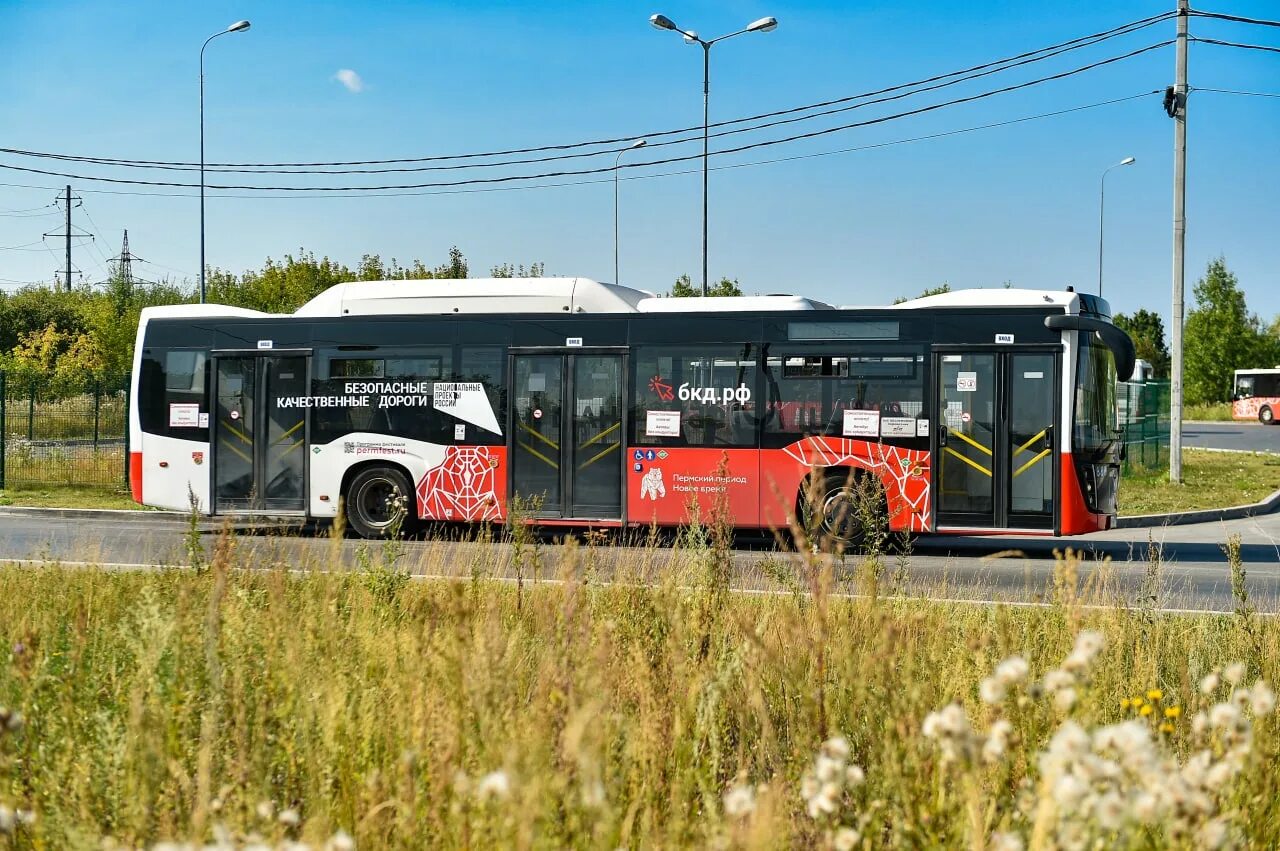 Пермские автобусы. Новые автобусы. Новые автобусы в Перми. Новые Пермские автобусы марка. Автобус пермь игра