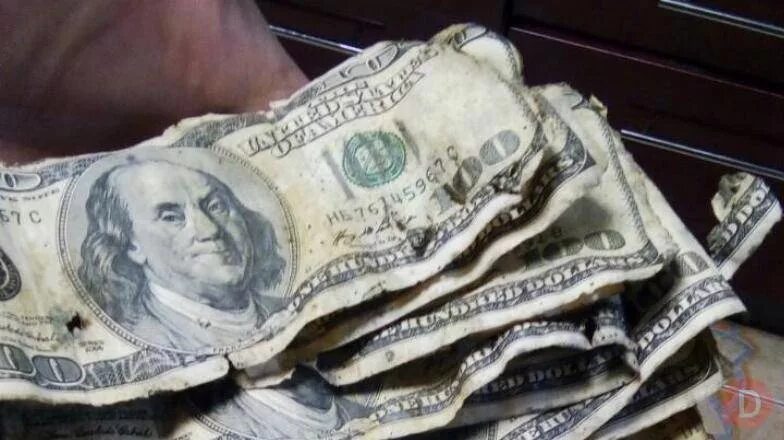 ветхие купюры. какие доллары не принимают. ветхие купюры. ветхая валюта. старые доллары сша.