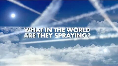What are the world s