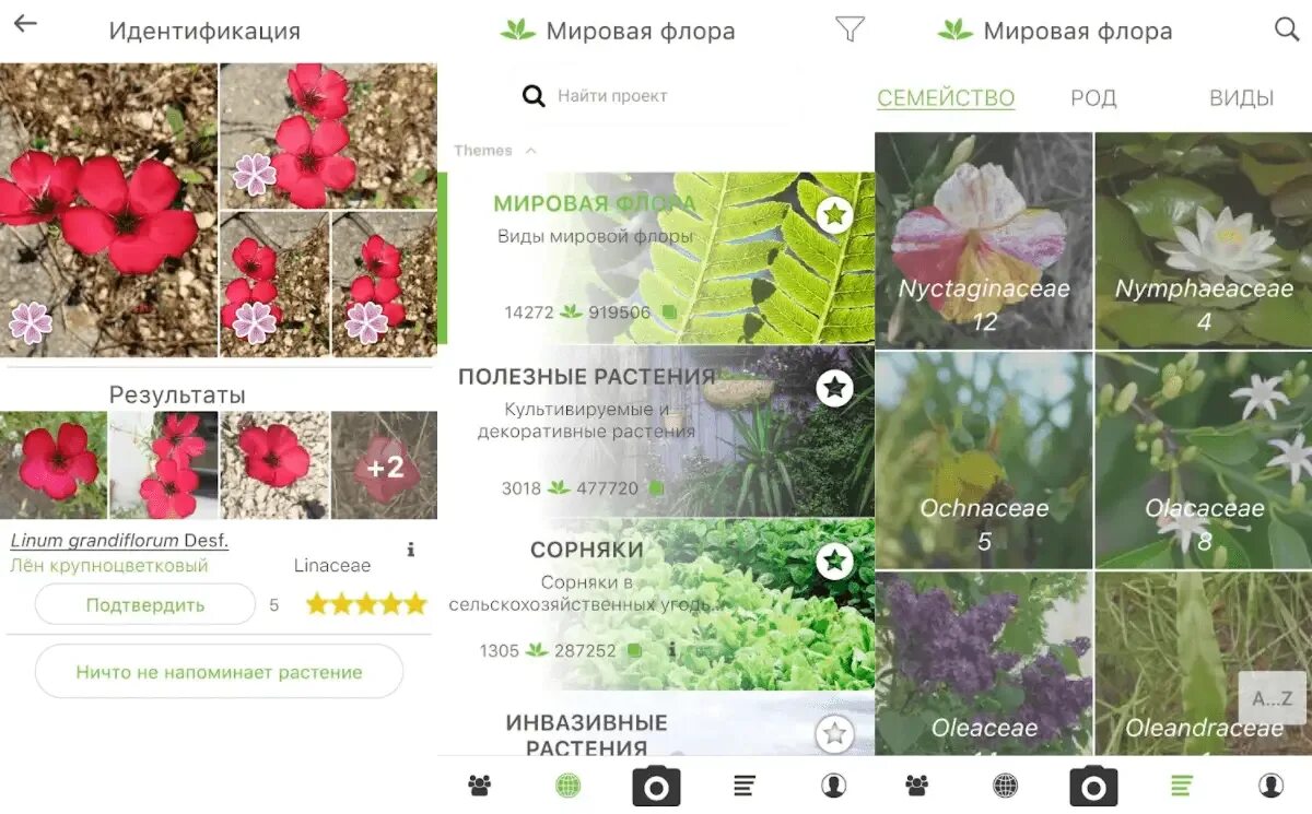 Программа по распознаванию цветов