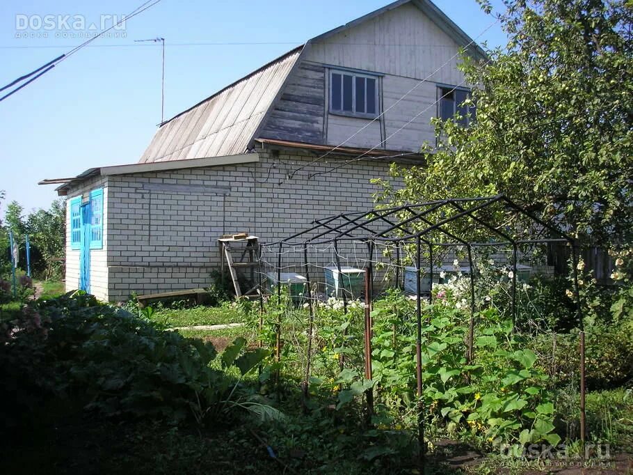 Село турки балашовского уезда. Работа турки саратовская. Работа турки саратовская. Старые фото турки саратовская область. Турки саратовская область.