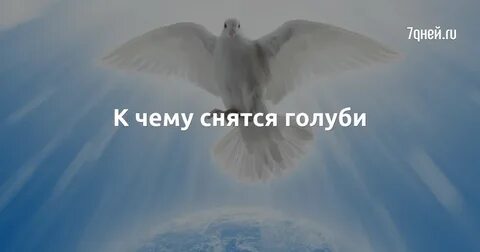 К чему снится голубь во сне мужчине