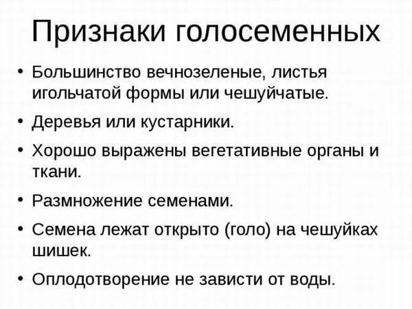 Дайте определение голосеменные растения приведите пример Дидактический материал по биологии "Голосеменные"