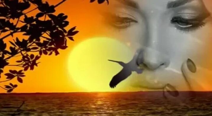 Ах судьба. Ах судьба 2002. Гаранжа тихий дон 2015. Ах судьба моя судьба ах судьба. Ах судьба.