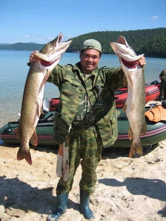 Чивыркуйский залив рыбалка. Щука Байкал. Рыба в озере. Ловля рыбы на Байкале. Рыбалка на щуку на озерах